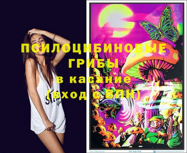 mdma Заводоуковск