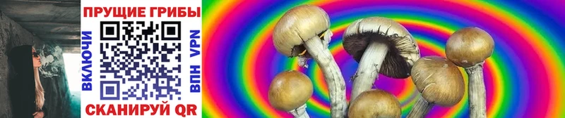 Галлюциногенные грибы Psilocybine cubensis закладка Егорьевск